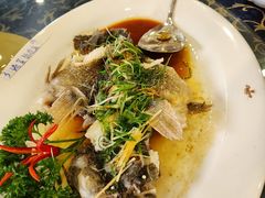 -西江河鲜·趣苑酒楼(鼎湖店)