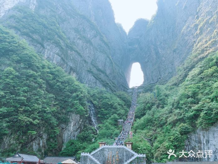 張家界天門山國家森林公園圖片