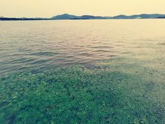 -蠡湖大桥公园