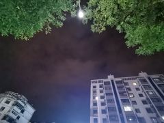 -蜜雪冰城(陆家嘴店)