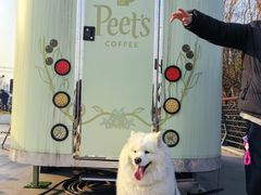 -龙美术馆西岸馆-停车场