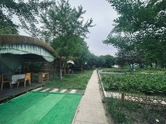 -梁鸿国家湿地公园