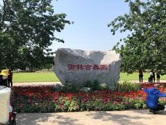 -御林古桑园