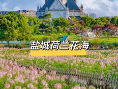 -荷兰花海