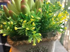 -南国会酒家(岗顶1站广场店)