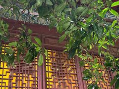 -天龙宝严素食馆(大兴善寺店)