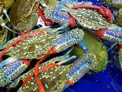 -东江海鲜酒家(艺都分店)