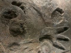 -湖南省地质博物馆