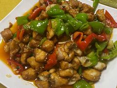 -煲来饱去冷水鱼