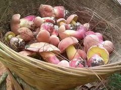 -三锅莊·牦牛肉火锅·香格里拉特色藏餐宴请餐厅(菱角塘路店)