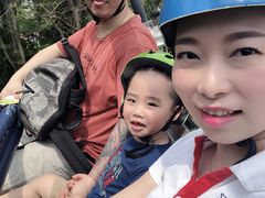 -圣淘沙天际线斜坡滑车