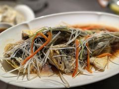 -前海沿·青岛菜(大拇指广场石老人店)