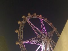 -墨尔本之星 观景摩天轮