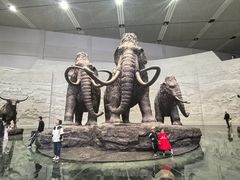 -大庆市博物馆