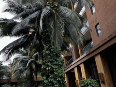 -三亚湾红树林度假世界(木棉酒店)