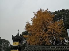 -宝光寺