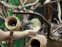 -Zoolung Zoolung动物主题公园(海信广场店)