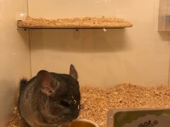 -龙猫仔乐园(惠福东路店)