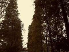 -西樵山风景名胜区-天湖公园