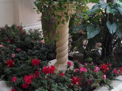 -利顺德大饭店·维多利亚花园(小白楼店)