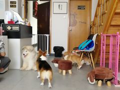 -汪说·狗咖(旺城大厦店)