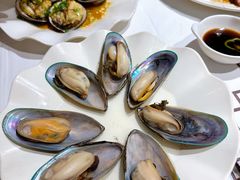 清蒸青口-强记海鲜·大排档(蛇口新街店)