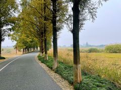 -良渚古城遗址公园