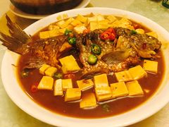 -丁老爷子苏香圆