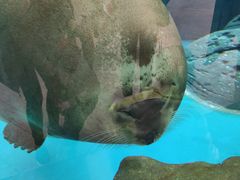 -海合安成都极地海洋公园