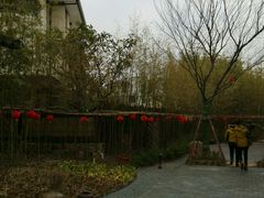 android_upload_pic-田园东方蜜桃村的田野营地