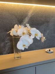 -8SPA养愈空间·新中式疗愈spa