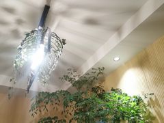 -萤火虫咖啡(后海店)