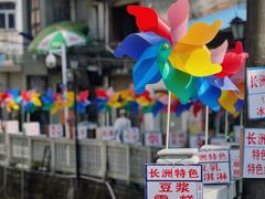 -长洲岛