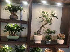 -双季花艺园艺市场(浦东店)