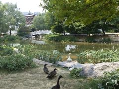 -隋唐洛阳城明堂天堂景区