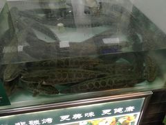 -荷香婆婆鱼锅(七一路店)