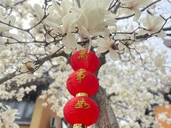 -灵谷景区