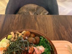 -Poke lemon海鲜波奇饭·柠檬茶(金碧开放小区店)