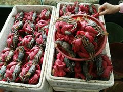 -莲花公园煎蟹(总店)