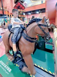 -卡通尼·Safari非洲探索乐园·生日会(金桥国际商业广场店)