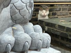 -长春观