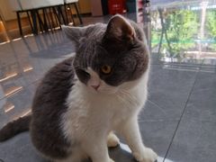 -贝利宠物医院·骨科·眼科·肿瘤转诊中心(南坪诊疗中心)