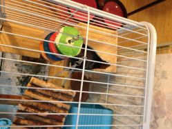 IMG_1549-爱嘉生活美甲美睫纹绣半永久