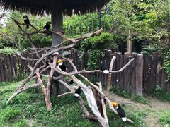 -野生动物园-停车场