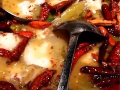 -食德乐·全鸽宴顺德菜(南湖店)