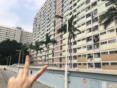 -彩虹村