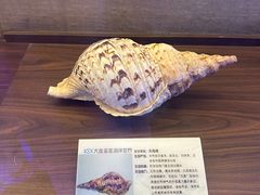 -大连圣亚海洋世界