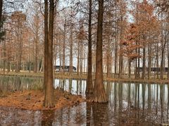 -西溪国家湿地公园