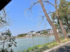 -同里国家湿地公园