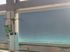 -中国农业大学动物医院